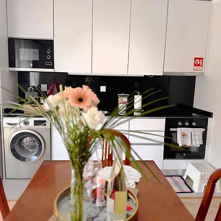 דירה Ribeiro House